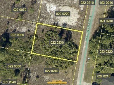 Lehigh Acres Area Lot For Sale in Lehigh Acres Florida