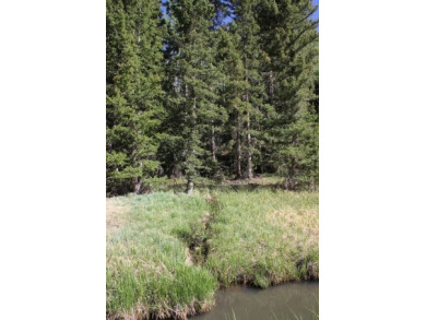 (private lake, pond, creek) Lot For Sale in Red River New Mexico