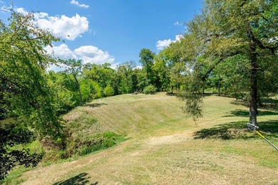One of a kind place on the Cossatot River! Two separate - photo 37