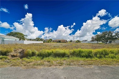 Lehigh Acres Area Lot For Sale in Lehigh Acres Florida
