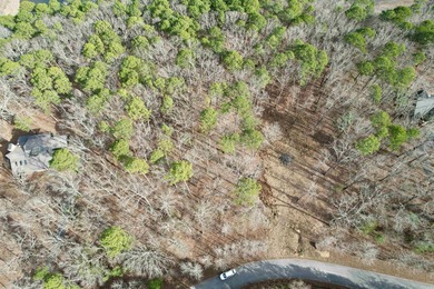 If you are seeking an ideal lakefront lot on Beautiful Greers - photo 2