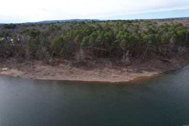 If you are seeking an ideal lakefront lot on Beautiful Greers - photo 8