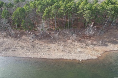 If you are seeking an ideal lakefront lot on Beautiful Greers - photo 10