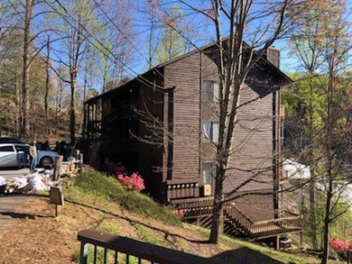 Turnkey Blue Ridge Mountains Investment Opportunity, a Private - photo 2