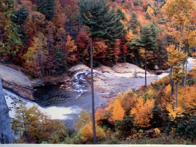 Turnkey Blue Ridge Mountains Investment Opportunity, a Private - photo 5