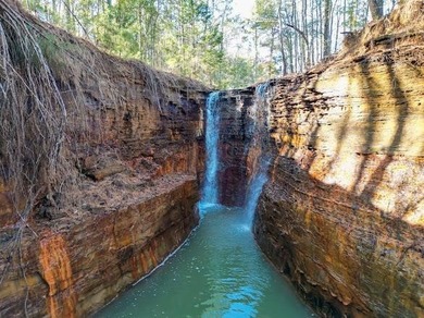 Lake Acreage For Sale in Palestine, Texas