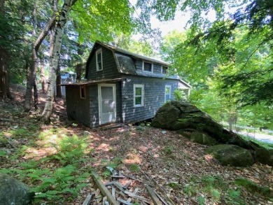 Lake Sunapee Home For Sale in Newbury New Hampshire