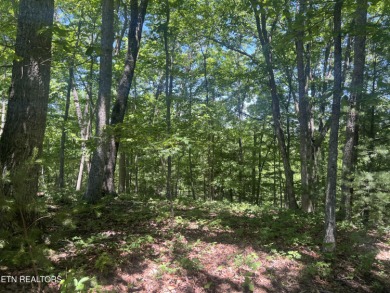 (private lake, pond, creek) Lot For Sale in Fairfield Glade Tennessee