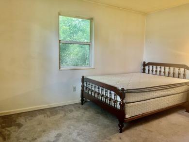 Handy Man's Special - photo 15