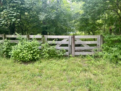 Handy Man's Special - photo 9