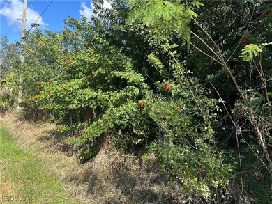 Standard building site Port Charlotte in Charlotte County - - photo 4