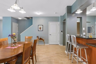 Experience the best of downtown Saint Paul living in this - photo 14