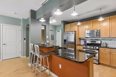 Experience the best of downtown Saint Paul living in this - photo 16