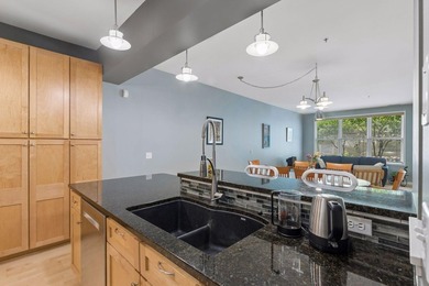 Experience the best of downtown Saint Paul living in this - photo 21