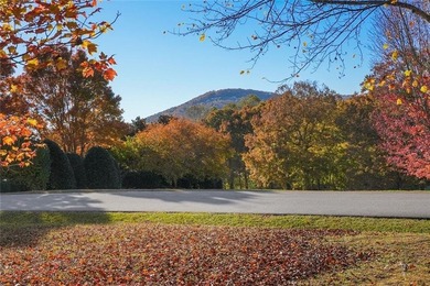 A private North Georgia resort home in The Orchard, where luxury - photo 25