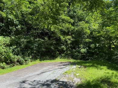 Lake Acreage For Sale in Tuckasegee, North Carolina
