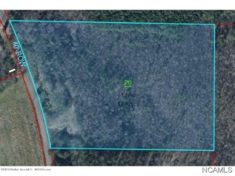 SMITH LAKE AREA-13 acres with lots of privacy. Non restricted - Lake Acreage For Sale in Crane Hill, Alabama