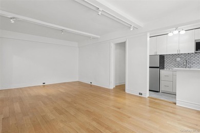 Welcome home to this beautifully renovated studio co-op in the - photo 5