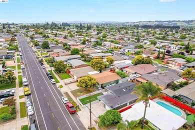 278430 Miami Ave is a Mid Century Modern masterpiece originally - photo 49