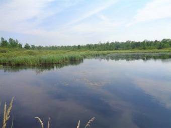 (private lake, pond, creek) Acreage For Sale in Sheldon Wisconsin