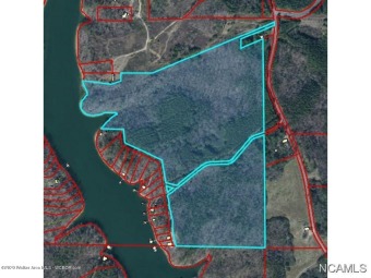 SMITH LAKE AREA-Once in a lifetime opportunity to own 80 acres wi - Lake Acreage For Sale in Crane Hill, Alabama