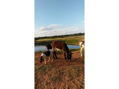 (private lake, pond, creek) Home For Sale in Hawley Texas