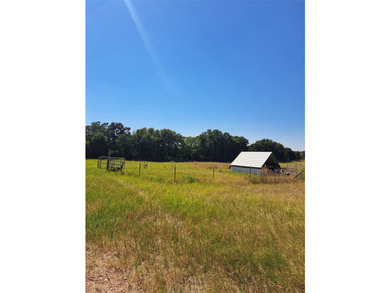 2 HOMES ON 21 ACRES! 1 HOME IS 4 BED 2 BATH AND THE OTHER IS A 1 - photo 3
