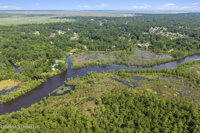 This waterfront on serene Bayou Castelle has a perfect set up - photo 12