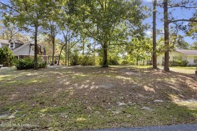 This waterfront on serene Bayou Castelle has a perfect set up - photo 14