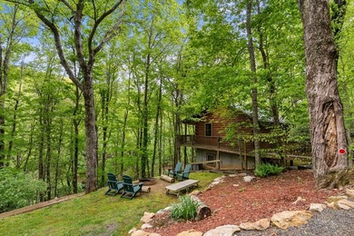 Unique Dual Cabin Creek Retreat Opportunity, Double Log Cabin - photo 20