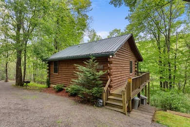 Unique Dual Cabin Creek Retreat Opportunity, Double Log Cabin - photo 21