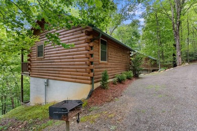 Unique Dual Cabin Creek Retreat Opportunity, Double Log Cabin - photo 22