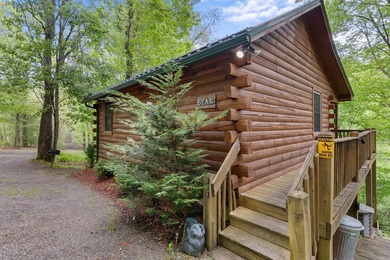 Unique Dual Cabin Creek Retreat Opportunity, Double Log Cabin - photo 23