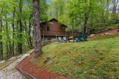 Unique Dual Cabin Creek Retreat Opportunity, Double Log Cabin - photo 24