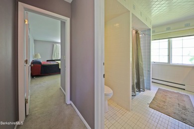 Stockbridge Contemporary surrounded by 5+ acres of privacy and - photo 27