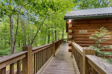 Unique Dual Cabin Creek Retreat Opportunity, Double Log Cabin - photo 28
