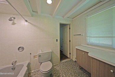 Stockbridge Contemporary surrounded by 5+ acres of privacy and - photo 38