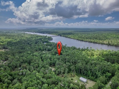 Nestled on 5 beautiful acres along the scenic Ochlockonee River - photo 38