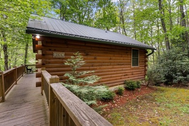 Unique Dual Cabin Creek Retreat Opportunity, Double Log Cabin - photo 41