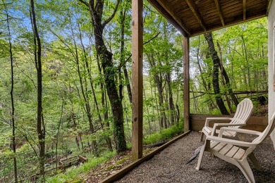 Unique Dual Cabin Creek Retreat Opportunity, Double Log Cabin - photo 43
