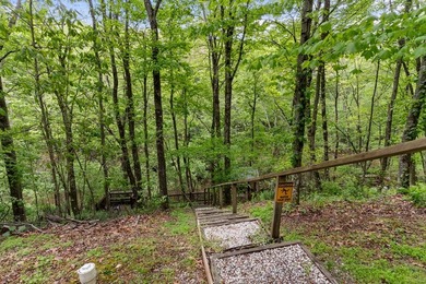 Unique Dual Cabin Creek Retreat Opportunity, Double Log Cabin - photo 44