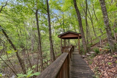 Unique Dual Cabin Creek Retreat Opportunity, Double Log Cabin - photo 46