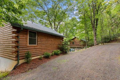 Unique Dual Cabin Creek Retreat Opportunity, Double Log Cabin - photo 47