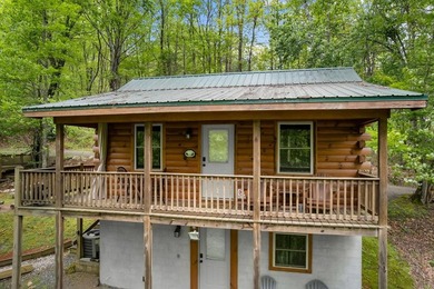 Unique Dual Cabin Creek Retreat Opportunity, Double Log Cabin - photo 49