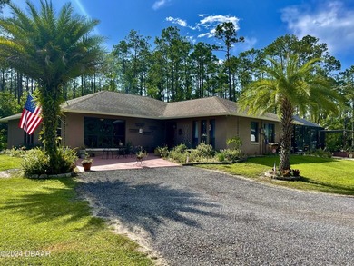 (private lake, pond, coastal) Home For Sale in Ormond Beach Florida