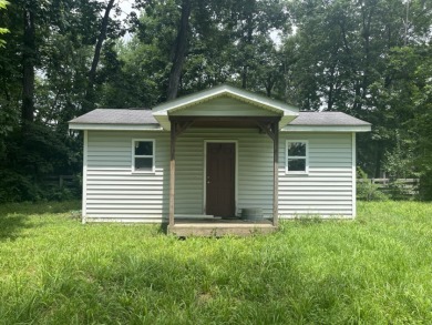 Handy Man's Special - photo 3