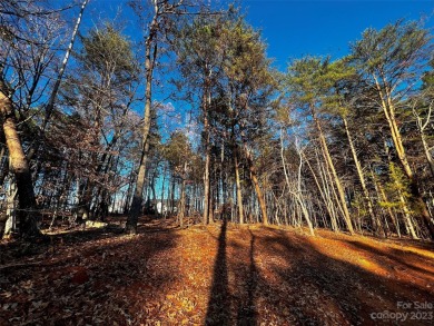 Lake Norman Lot For Sale in Davidson North Carolina