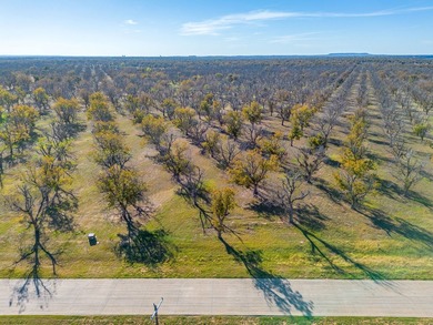 Howdy! Welcome to East Lake Phase 1 at Pecan Plantation, LOT - photo 12
