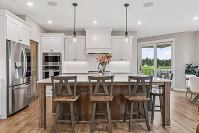 Formerly a Lang Builders model home, this exceptional rambler - photo 17