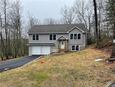 Lake Home Sale Pending in Thompson, New York